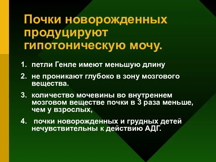 Почки новорожденных продуцируют гипотоническую мочу. петли Генле имеют меньшую длину не