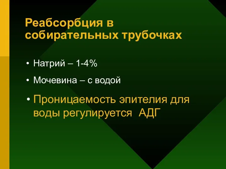 Реабсорбция в собирательных трубочках Натрий – 1-4% Мочевина – с водой