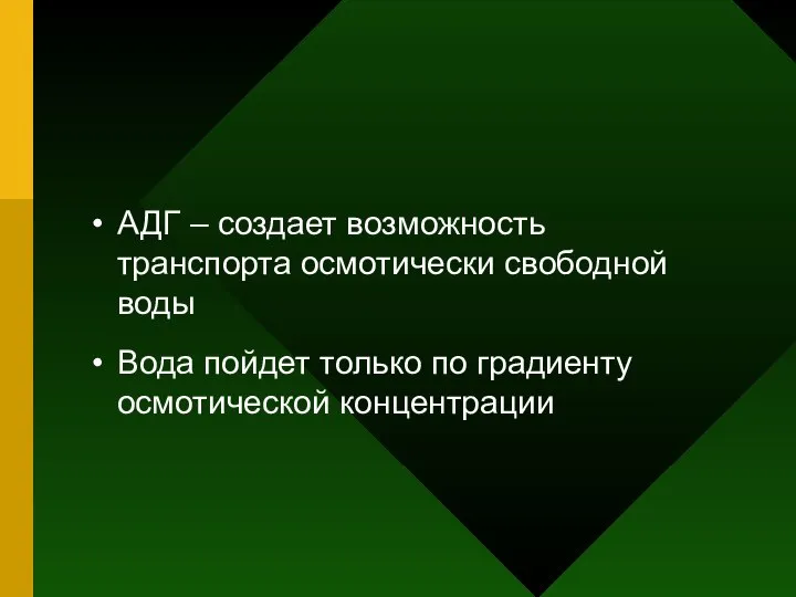 АДГ – создает возможность транспорта осмотически свободной воды Вода пойдет только по градиенту осмотической концентрации