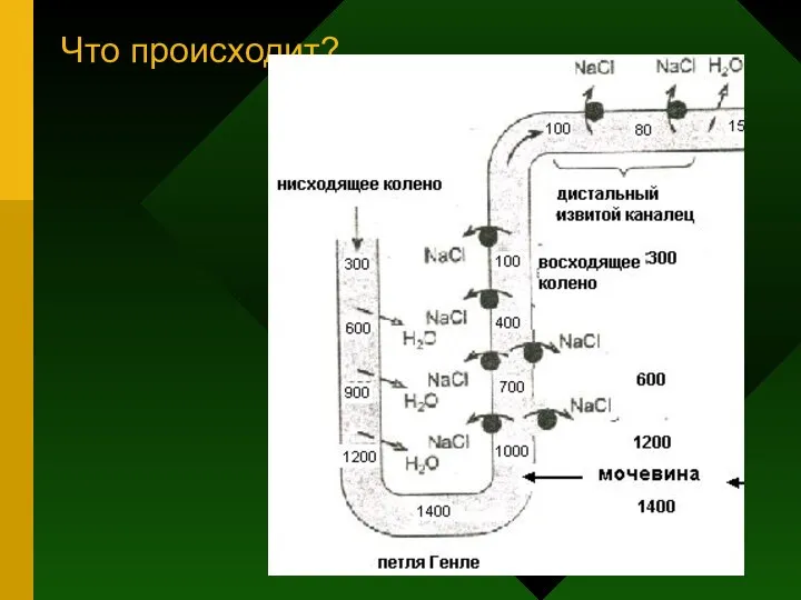 Что происходит?