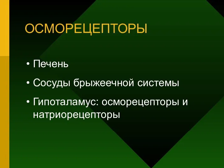 ОСМОРЕЦЕПТОРЫ Печень Сосуды брыжеечной системы Гипоталамус: осморецепторы и натриорецепторы