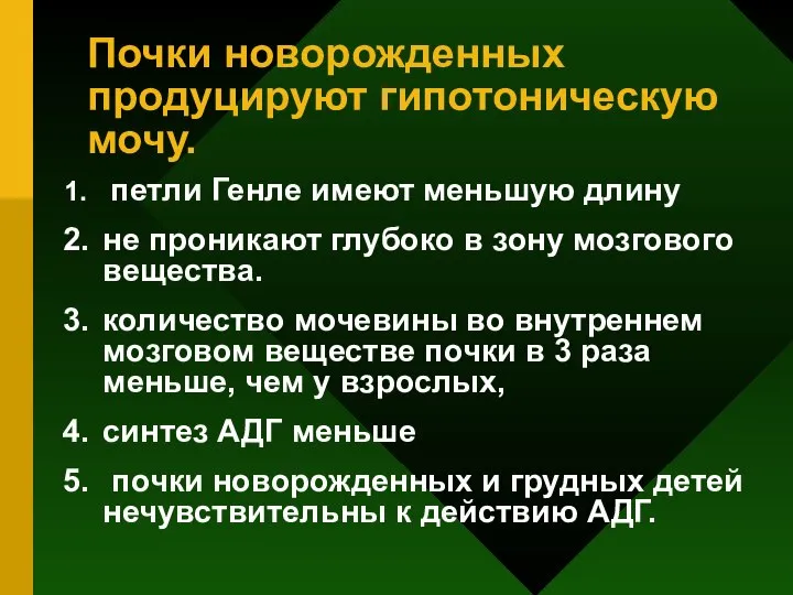 Почки новорожденных продуцируют гипотоническую мочу. петли Генле имеют меньшую длину не