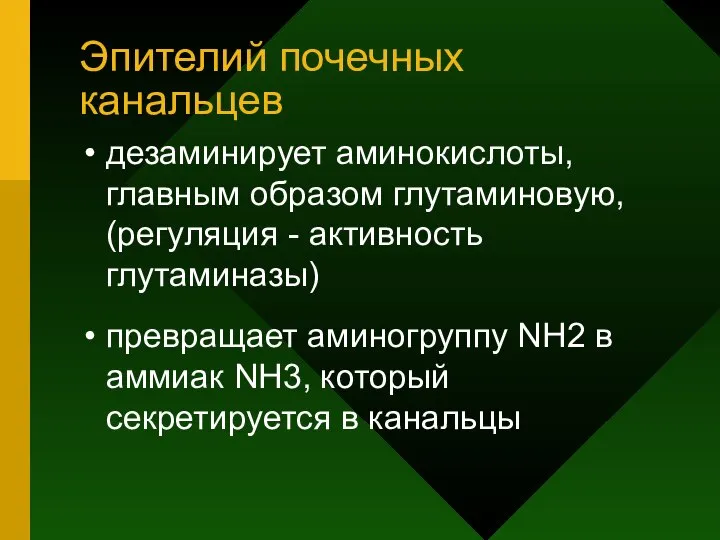 Эпителий почечных канальцев дезаминирует аминокислоты, главным образом глутаминовую, (регуляция - активность