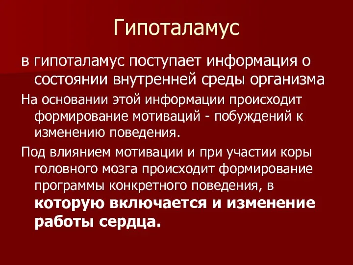 Гипоталамус в гипоталамус поступает информация о состоянии внутренней среды организма На