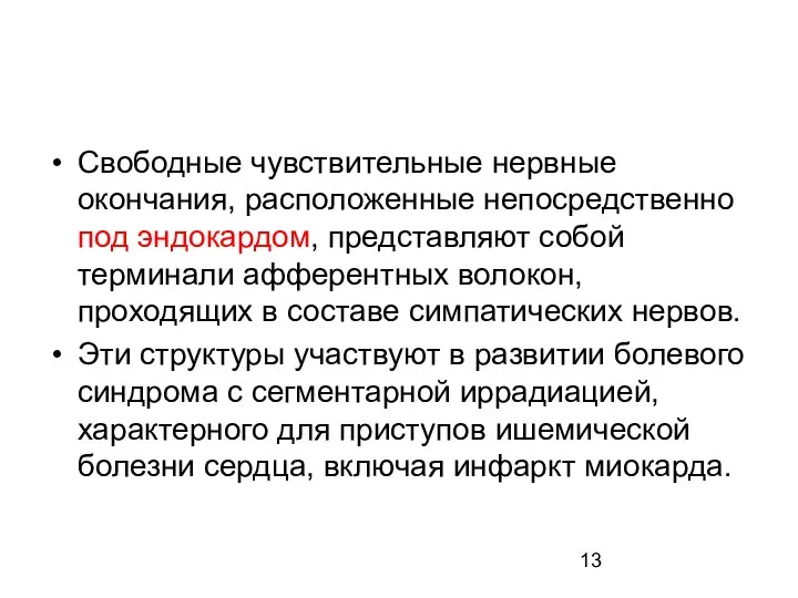 Свободные чувствительные нервные окончания, расположенные непосредственно под эндокардом, представляют собой терминали