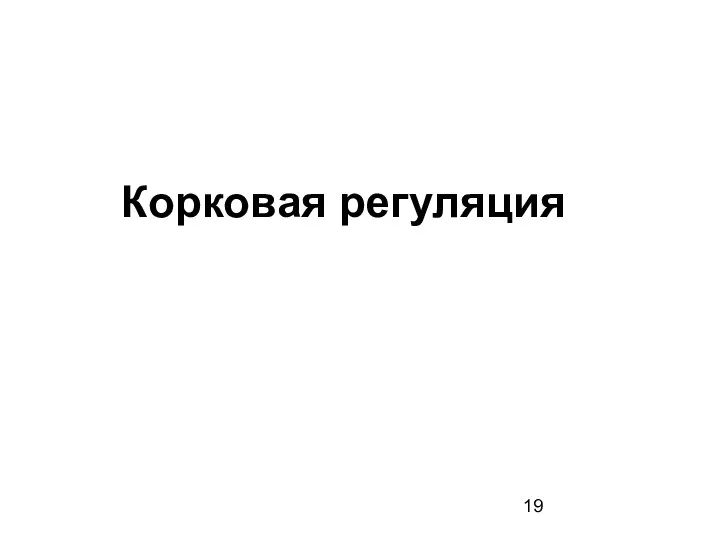 Корковая регуляция