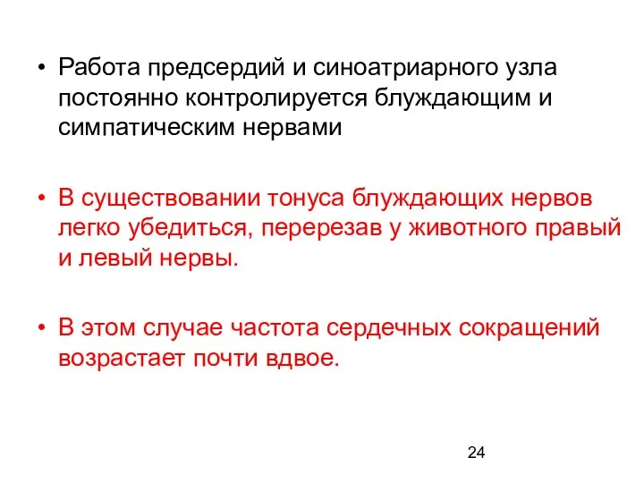 Работа предсердий и синоатриарного узла постоянно контролируется блуждающим и симпатическим нервами