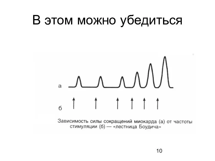 В этом можно убедиться