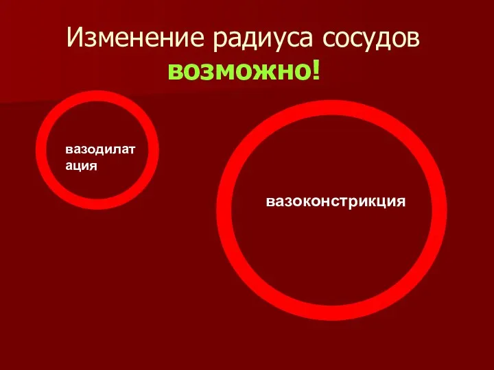 Изменение радиуса сосудов возможно!