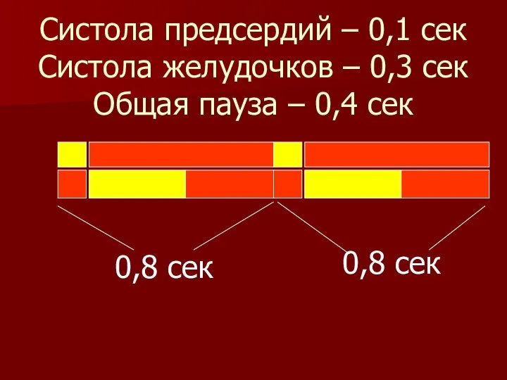 Систола предсердий – 0,1 сек Систола желудочков – 0,3 сек Общая