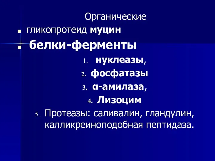 Органические гликопротеид муцин белки-ферменты нуклеазы, фосфатазы α-амилаза, Лизоцим Протеазы: саливалин, гландулин, калликреиноподобная пептидаза.