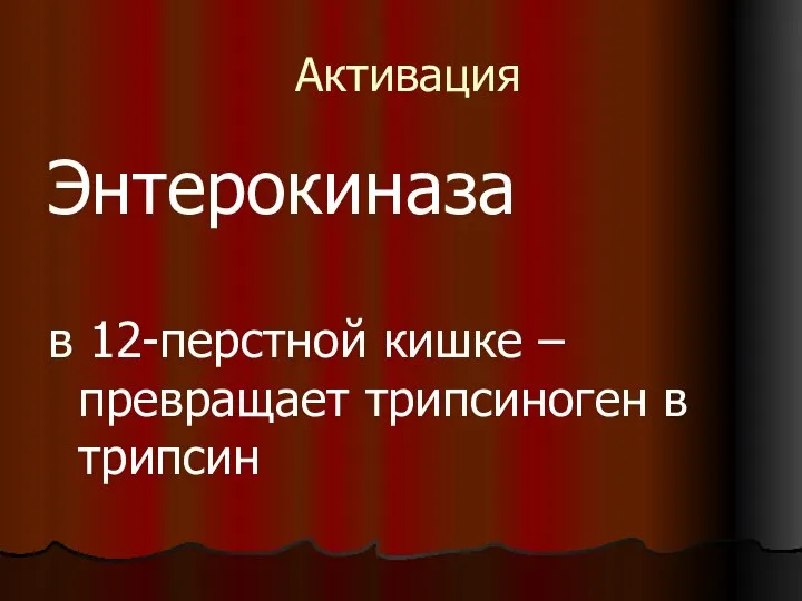 Активация Энтерокиназа в 12-перстной кишке – превращает трипсиноген в трипсин