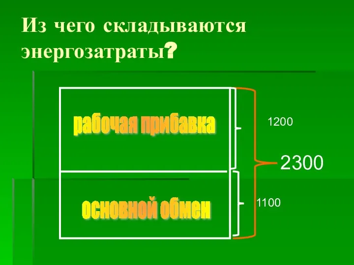 Из чего складываются энергозатраты? 2300 1100 1200