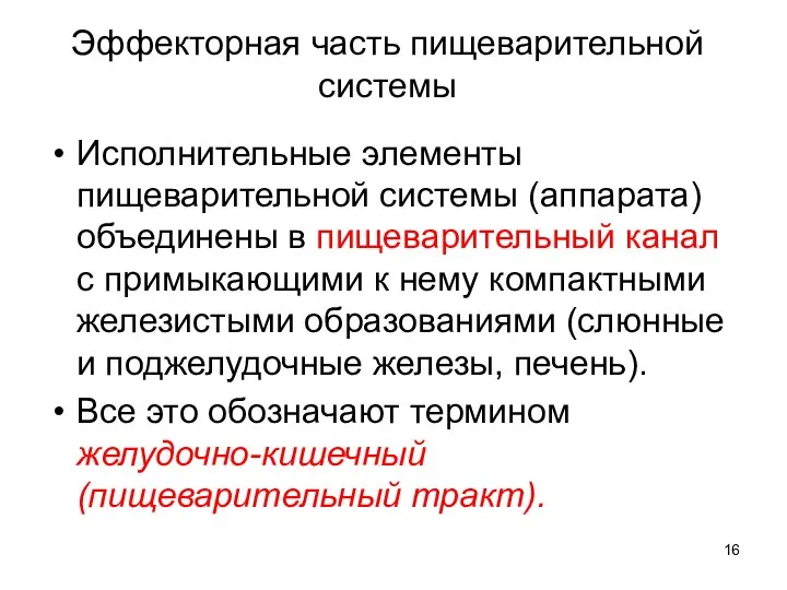 Эффекторная часть пищеварительной системы Исполнительные элементы пищеварительной системы (аппарата) объединены в