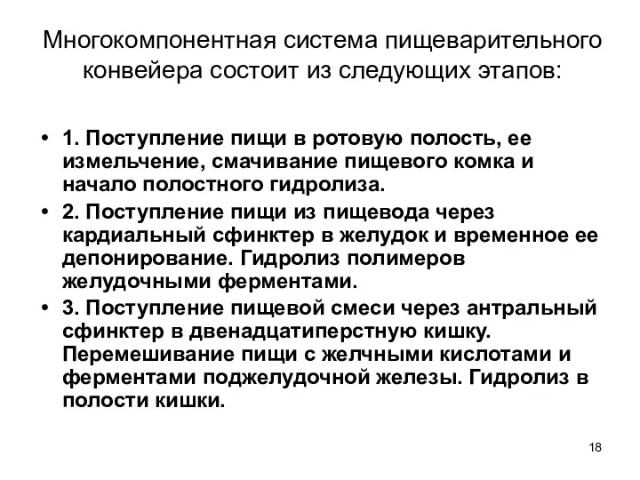 Многокомпонентная система пищеварительного конвейера состоит из следующих этапов: 1. Поступление пищи