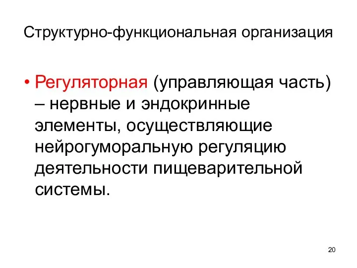 Структурно-функциональная организация Регуляторная (управляющая часть) – нервные и эндокринные элементы, осуществляющие нейрогуморальную регуляцию деятельности пищеварительной системы.