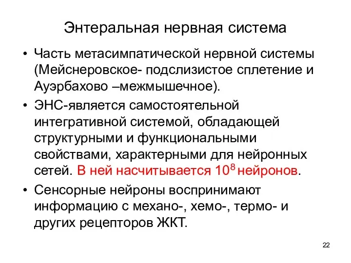 Энтеральная нервная система Часть метасимпатической нервной системы (Мейснеровское- подслизистое сплетение и