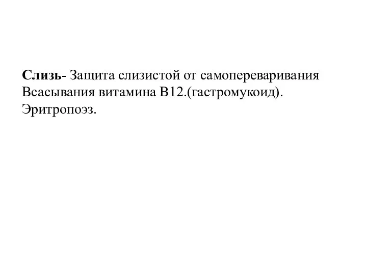 Слизь- Защита слизистой от самопереваривания Всасывания витамина В12.(гастромукоид). Эритропоэз.