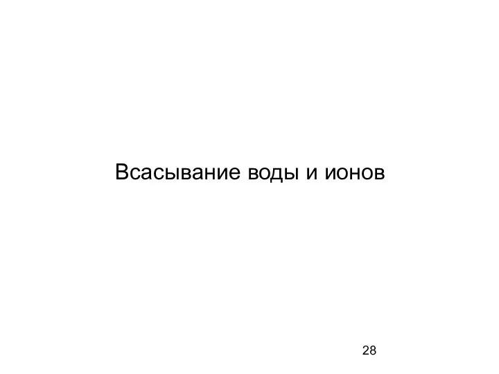 Всасывание воды и ионов