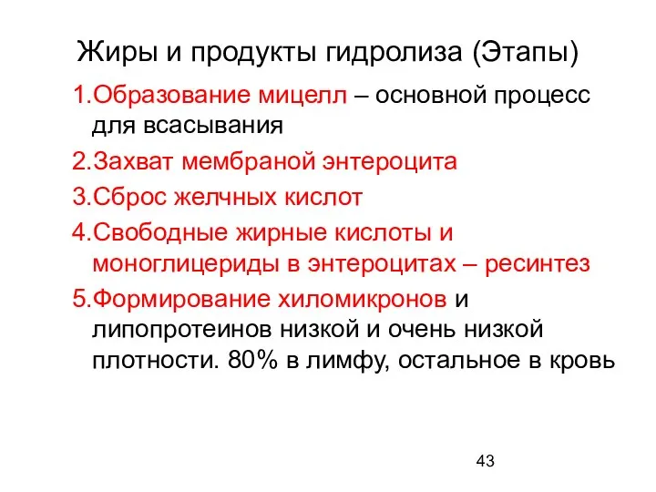 Жиры и продукты гидролиза (Этапы) 1.Образование мицелл – основной процесс для