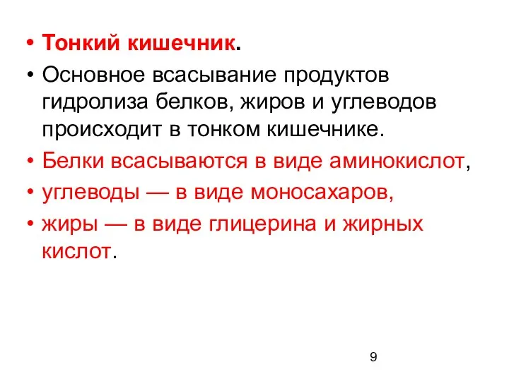 Тонкий кишечник. Основное всасывание продуктов гидролиза белков, жиров и углеводов происходит