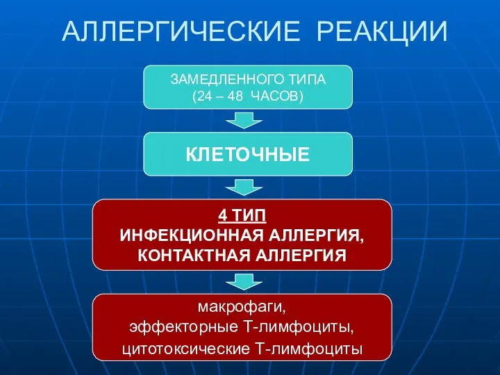 АЛЛЕРГИЧЕСКИЕ РЕАКЦИИ ЗАМЕДЛЕННОГО ТИПА (24 – 48 ЧАСОВ) КЛЕТОЧНЫЕ 4 ТИП