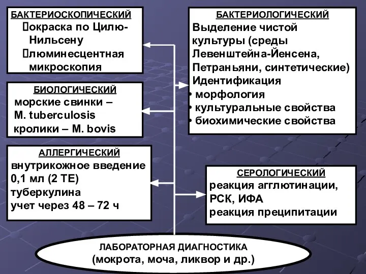 БАКТЕРИОСКОПИЧЕСКИЙ окраска по Цилю-Нильсену люминесцентная микроскопия БАКТЕРИОЛОГИЧЕСКИЙ Выделение чистой культуры (среды