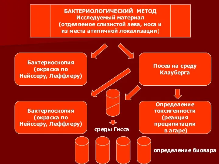 Посев на среду Клауберга Определение токсигенности (реакция преципитации в агаре) Бактериоскопия