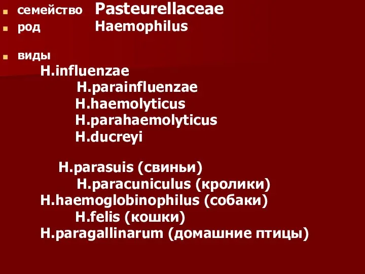 семейство Pasteurellaceae род Haemophilus виды H.influenzae H.parainfluenzae H.haemolyticus H.parahaemolyticus H.ducreyi H.parasuis