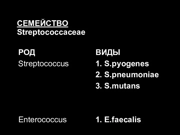 СЕМЕЙСТВО Streptococcaceae РОД Streptococcus Enterococcus ВИДЫ 1. S.pyogenes 2. S.pneumoniae 3. S.mutans 1. E.faecalis