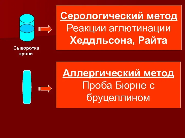 Аллергический метод Проба Бюрне с бруцеллином Серологический метод Реакции аглютинации Хеддльсона, Райта Сыворотка крови