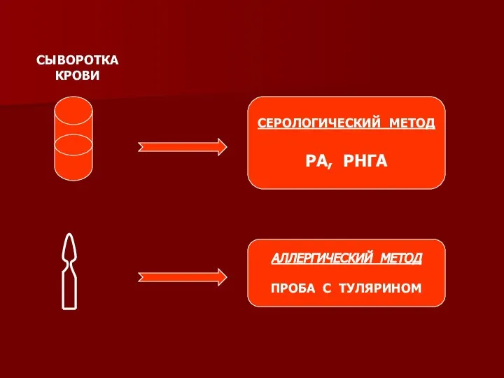 СЕРОЛОГИЧЕСКИЙ МЕТОД РА, РНГА АЛЛЕРГИЧЕСКИЙ МЕТОД ПРОБА С ТУЛЯРИНОМ СЫВОРОТКА КРОВИ