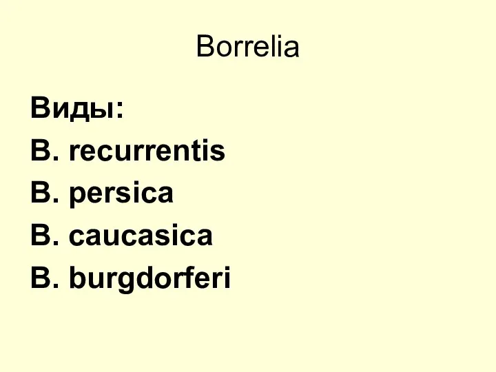 Borrelia Виды: B. recurrentis B. persica B. caucasica B. burgdorferi
