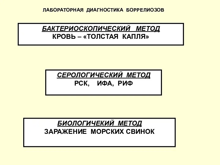 ЛАБОРАТОРНАЯ ДИАГНОСТИКА БОРРЕЛИОЗОВ