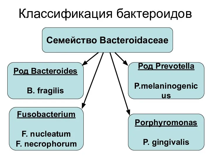 Классификация бактероидов Семейство Bacteroidaceae Род Bacteroides B. fragilis Род Prevotella P.melaninogenicus