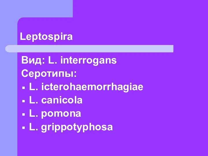 Leptospira Вид: L. interrogans Серотипы: L. icterohaemorrhagiae L. canicola L. pomona L. grippotyphosa