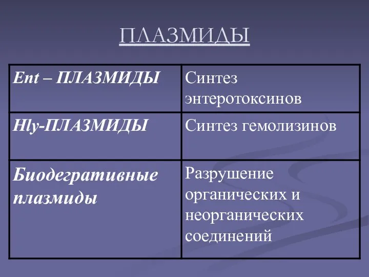 ПЛАЗМИДЫ