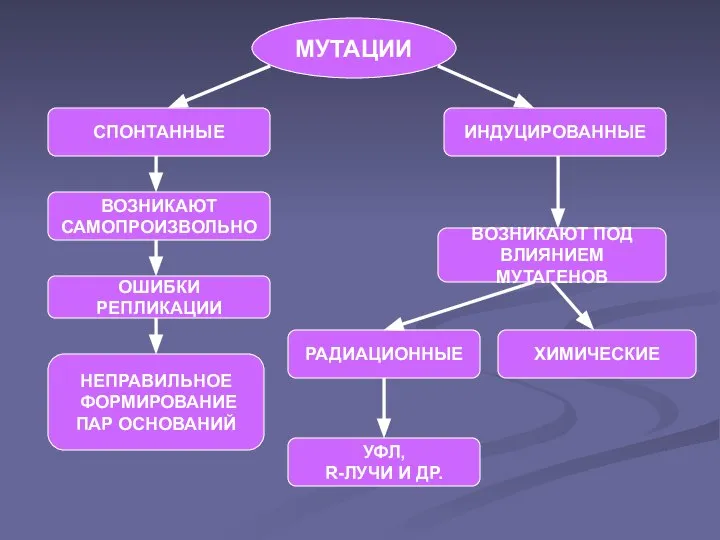 МУТАЦИИ СПОНТАННЫЕ ВОЗНИКАЮТ САМОПРОИЗВОЛЬНО ОШИБКИ РЕПЛИКАЦИИ НЕПРАВИЛЬНОЕ ФОРМИРОВАНИЕ ПАР ОСНОВАНИЙ ИНДУЦИРОВАННЫЕ