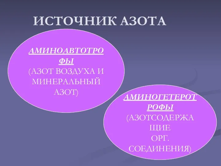 ИСТОЧНИК АЗОТА АМИНОАВТОТРОФЫ (АЗОТ ВОЗДУХА И МИНЕРАЛЬНЫЙ АЗОТ) АМИНОГЕТЕРОТРОФЫ (АЗОТСОДЕРЖАЩИЕ ОРГ. СОЕДИНЕНИЯ)