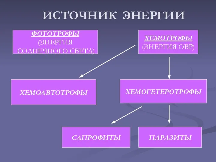 ИСТОЧНИК ЭНЕРГИИ ФОТОТРОФЫ (ЭНЕРГИЯ СОЛНЕЧНОГО СВЕТА) ХЕМОАВТОТРОФЫ ХЕМОТРОФЫ (ЭНЕРГИЯ ОВР) ХЕМОГЕТЕРОТРОФЫ САПРОФИТЫ ПАРАЗИТЫ