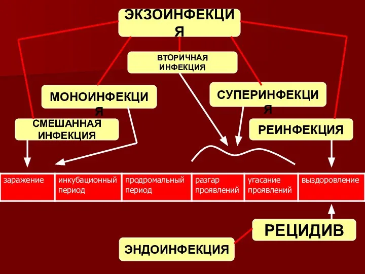 ЭКЗОИНФЕКЦИЯ ВТОРИЧНАЯ ИНФЕКЦИЯ РЕИНФЕКЦИЯ МОНОИНФЕКЦИЯ СМЕШАННАЯ ИНФЕКЦИЯ СУПЕРИНФЕКЦИЯ ЭНДОИНФЕКЦИЯ РЕЦИДИВ