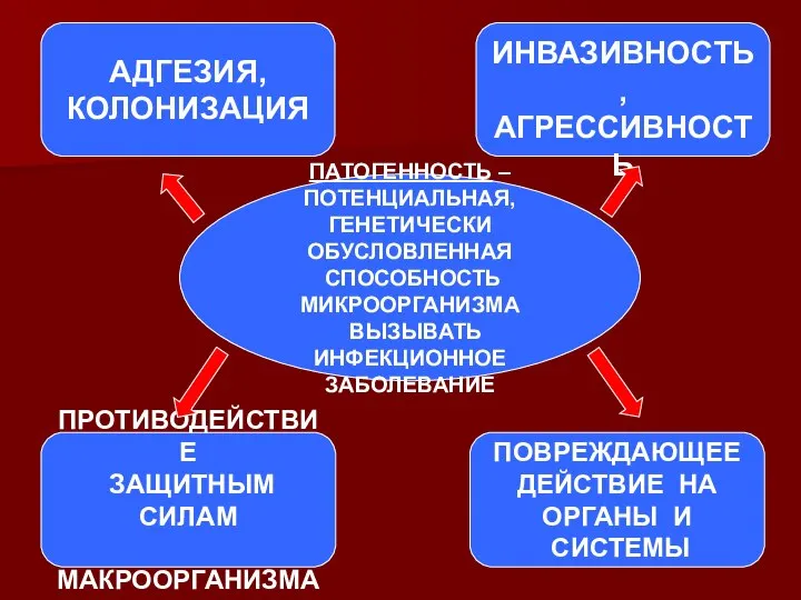 ПАТОГЕННОСТЬ – ПОТЕНЦИАЛЬНАЯ, ГЕНЕТИЧЕСКИ ОБУСЛОВЛЕННАЯ СПОСОБНОСТЬ МИКРООРГАНИЗМА ВЫЗЫВАТЬ ИНФЕКЦИОННОЕ ЗАБОЛЕВАНИЕ АДГЕЗИЯ,