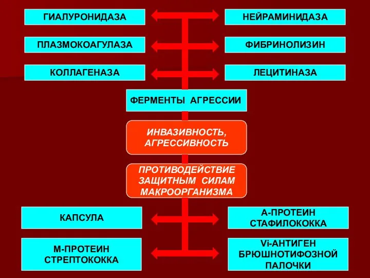 ИНВАЗИВНОСТЬ, АГРЕССИВНОСТЬ ПРОТИВОДЕЙСТВИЕ ЗАЩИТНЫМ СИЛАМ МАКРООРГАНИЗМА ГИАЛУРОНИДАЗА КОЛЛАГЕНАЗА ЛЕЦИТИНАЗА ПЛАЗМОКОАГУЛАЗА ФИБРИНОЛИЗИН