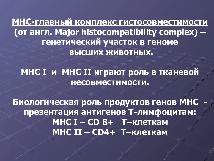 MHC-главный комплекс гистосовместимости (от англ. Major histocompatibility complex) – генетический участок