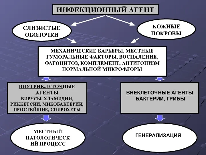 ИНФЕКЦИОННЫЙ АГЕНТ СЛИЗИСТЫЕ ОБОЛОЧКИ КОЖНЫЕ ПОКРОВЫ МЕХАНИЧЕСКИЕ БАРЬЕРЫ, МЕСТНЫЕ ГУМОРАЛЬНЫЕ ФАКТОРЫ,