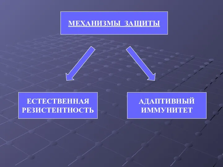 МЕХАНИЗМЫ ЗАЩИТЫ ЕСТЕСТВЕННАЯ РЕЗИСТЕНТНОСТЬ АДАПТИВНЫЙ ИММУНИТЕТ