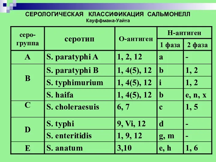 СЕРОЛОГИЧЕСКАЯ КЛАССИФИКАЦИЯ САЛЬМОНЕЛЛ Кауффмана-Уайта