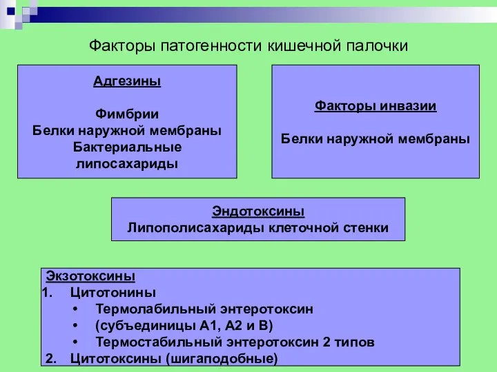 Факторы патогенности кишечной палочки Адгезины Фимбрии Белки наружной мембраны Бактериальные липосахариды