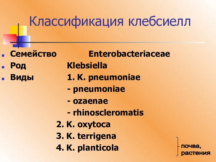 Классификация клебсиелл Семейство Enterobacteriaceae Род Klebsiella Виды 1. K. pneumoniae -