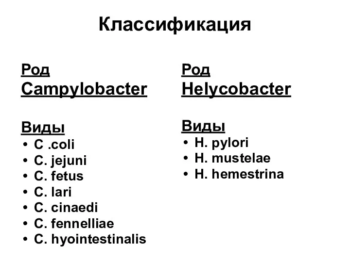 Классификация Род Campylobacter Виды C .coli C. jejuni C. fetus C.